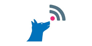 Dog Internet of Things
