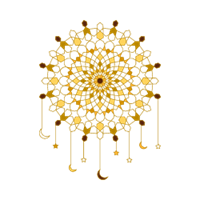 Development and Education