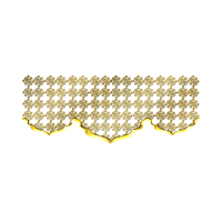 Security and Privacy