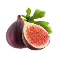 Food Waste Reduction