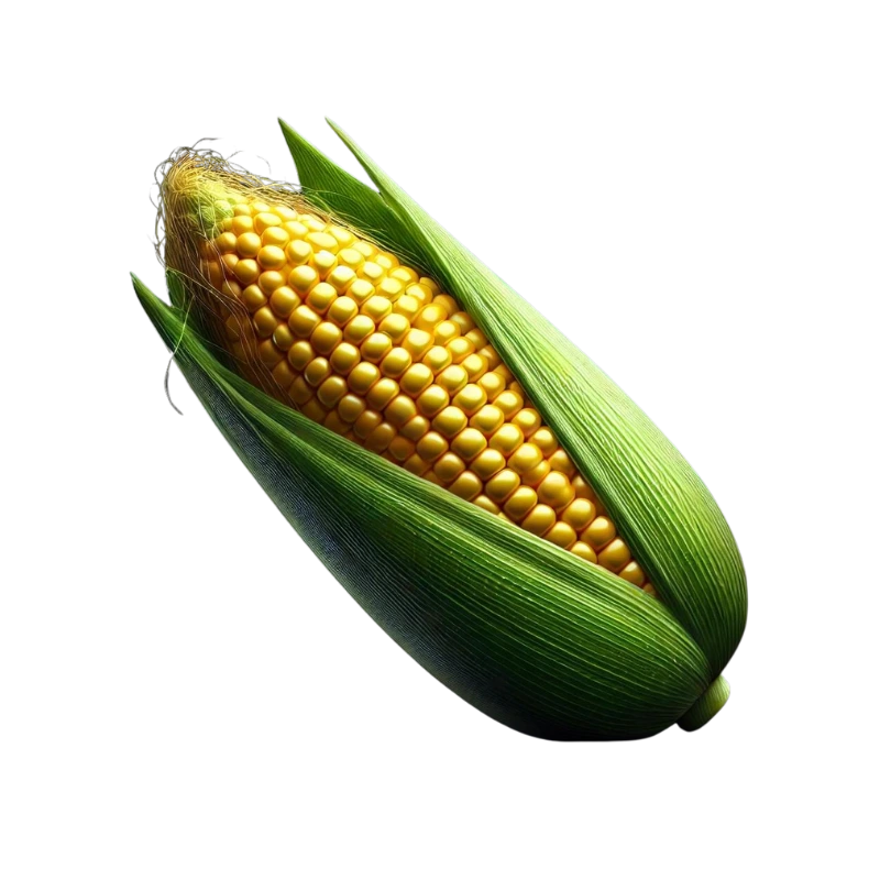 GatherVerse Food Summit