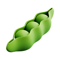 Learn about industry developments and sustainable practices