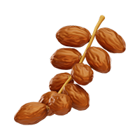 Robotics and Automation