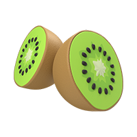 Roundtables and presentations