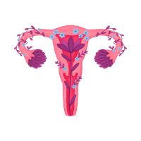 Artificial Intelligence in Women's Healthcare