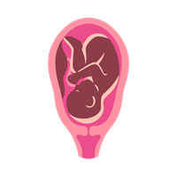 The Future of Women's Health_ Challenges and Opportunities