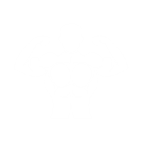 Fitness and Nutrition Experts