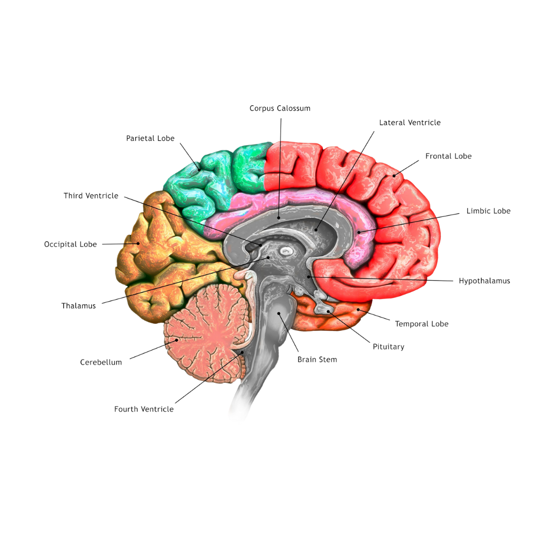 GatherVerse Men’s Health Summit GatherVerse Men’s Health Summit