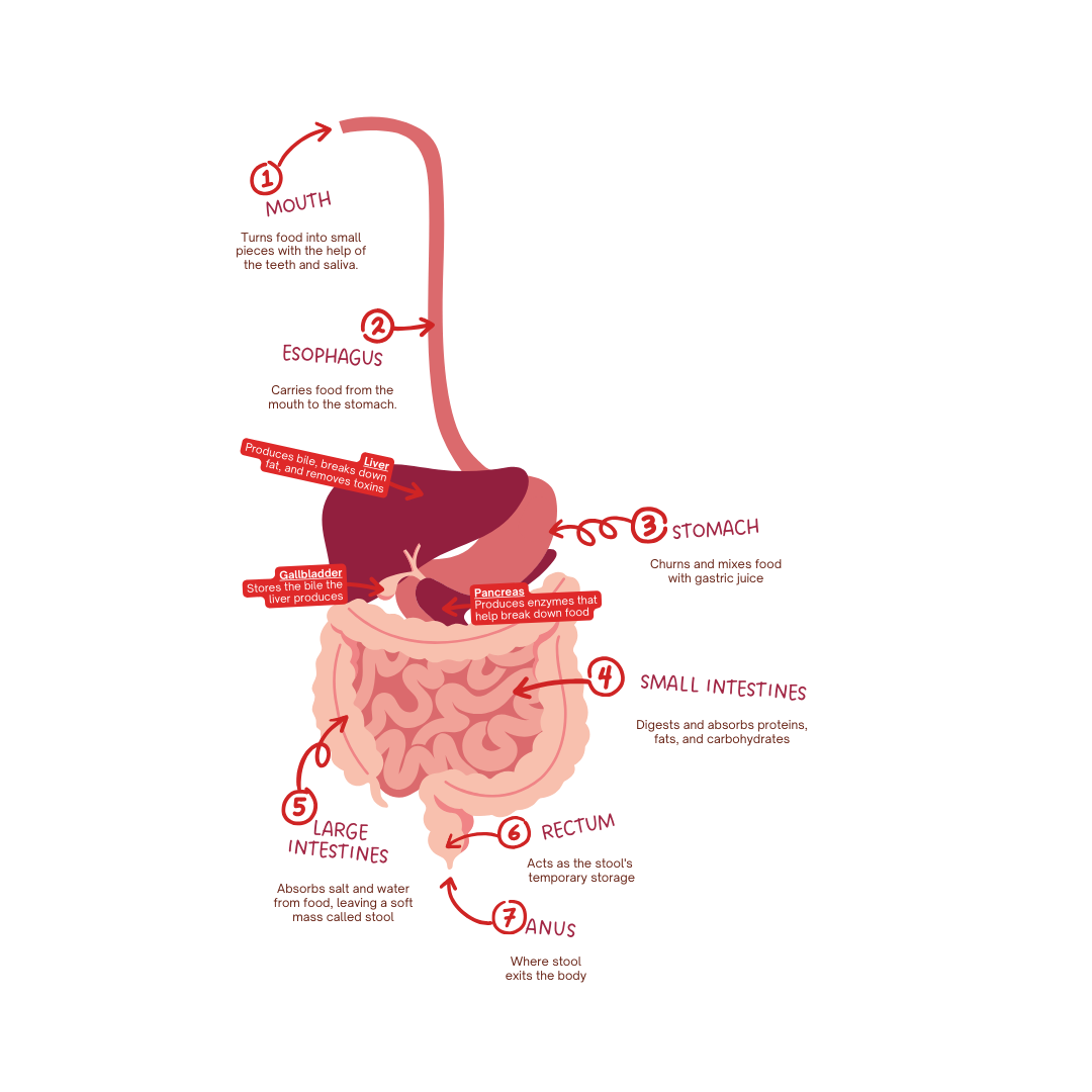 GatherVerse Men’s Health Summit GatherVerse Men’s Health Summit